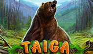 Taiga